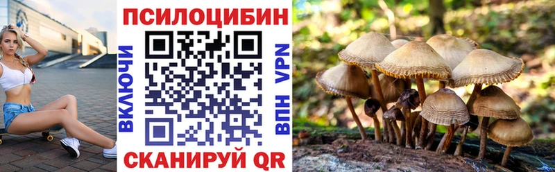 Галлюциногенные грибы прущие грибы  Питкяранта 